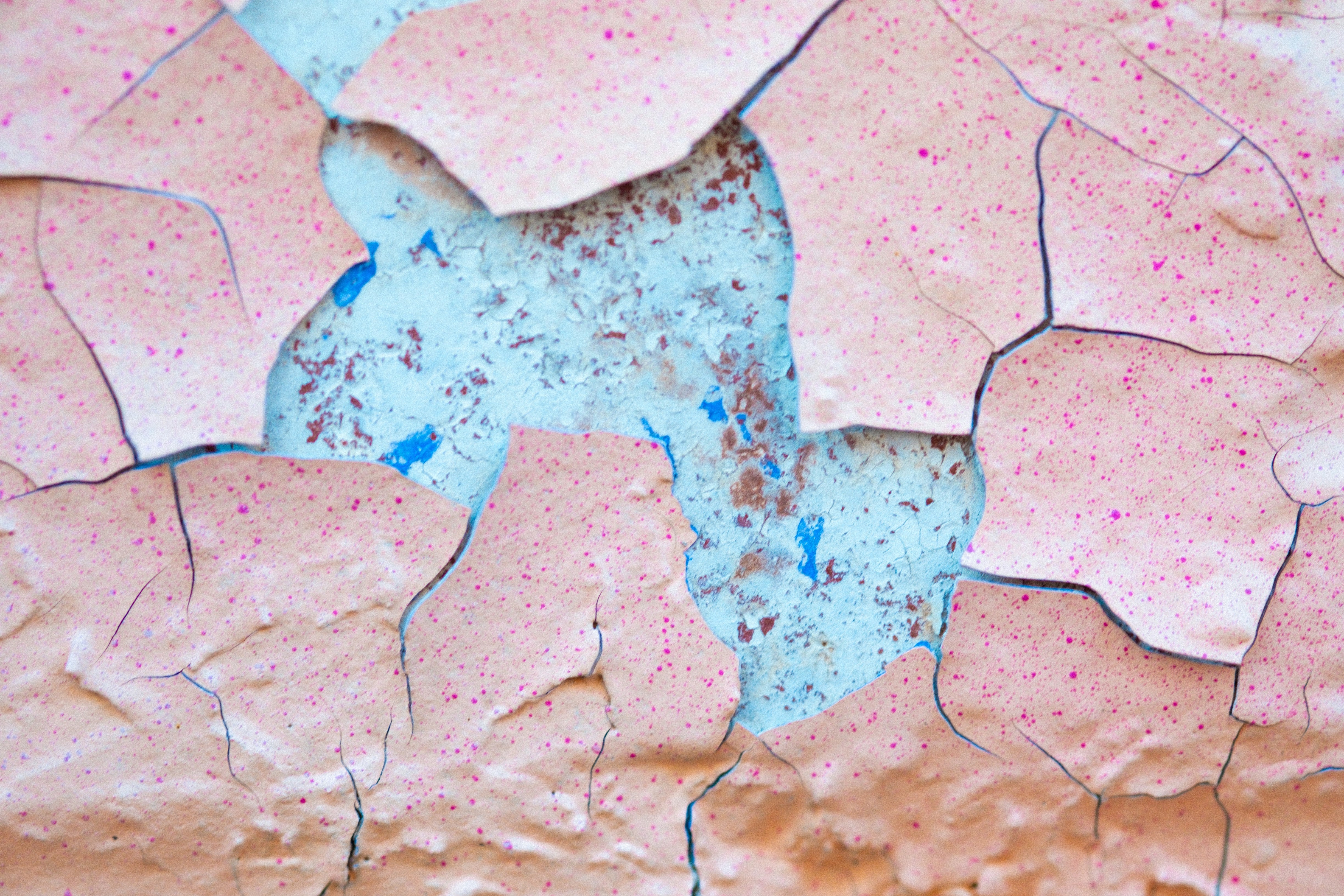 Barrier Repair 101: Why Your Skin's Biology Is the Foundation of Everything